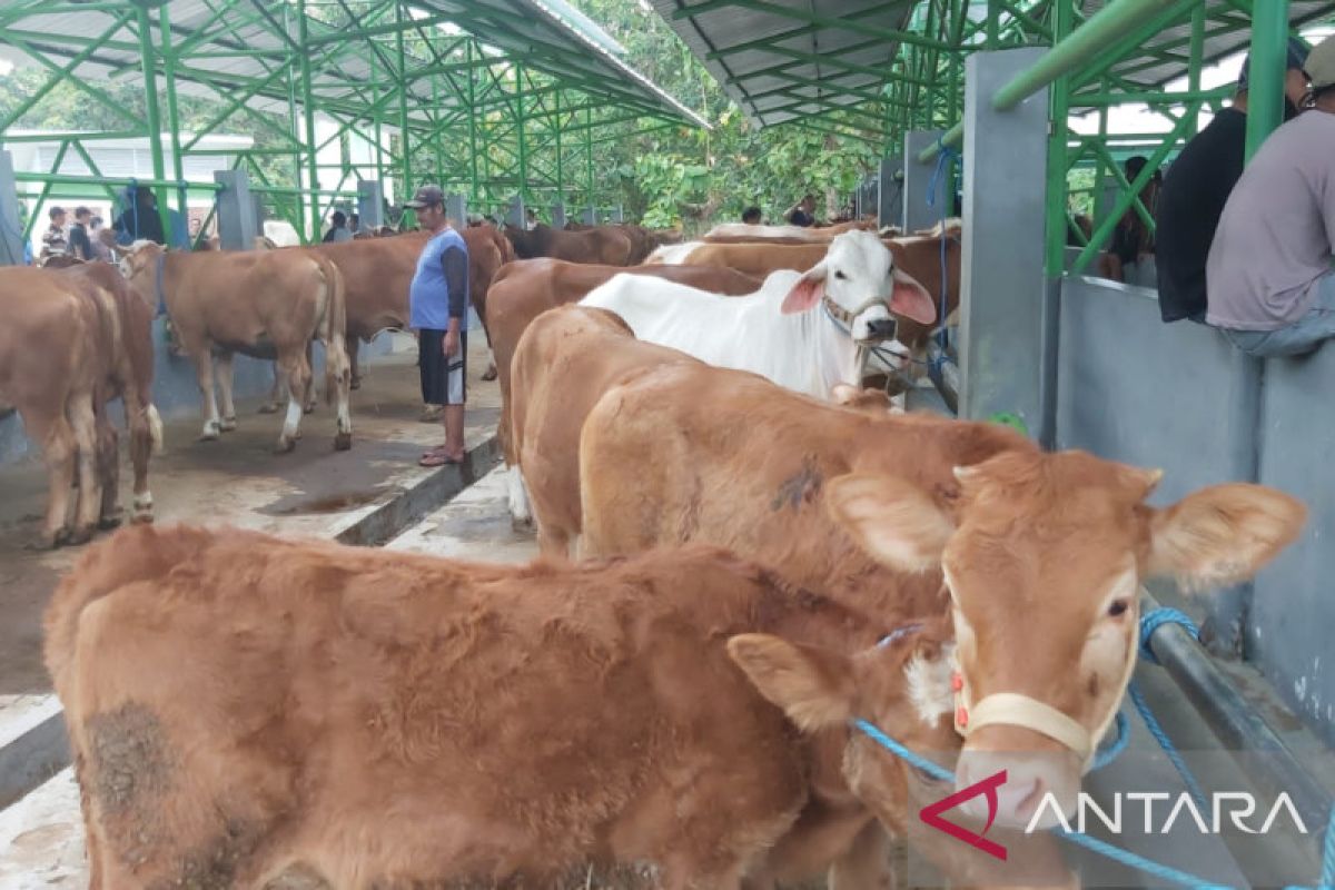 Pemkab Gunung Kidul diminta tingkatkan kewaspadaan penyakit mulut dan kuku