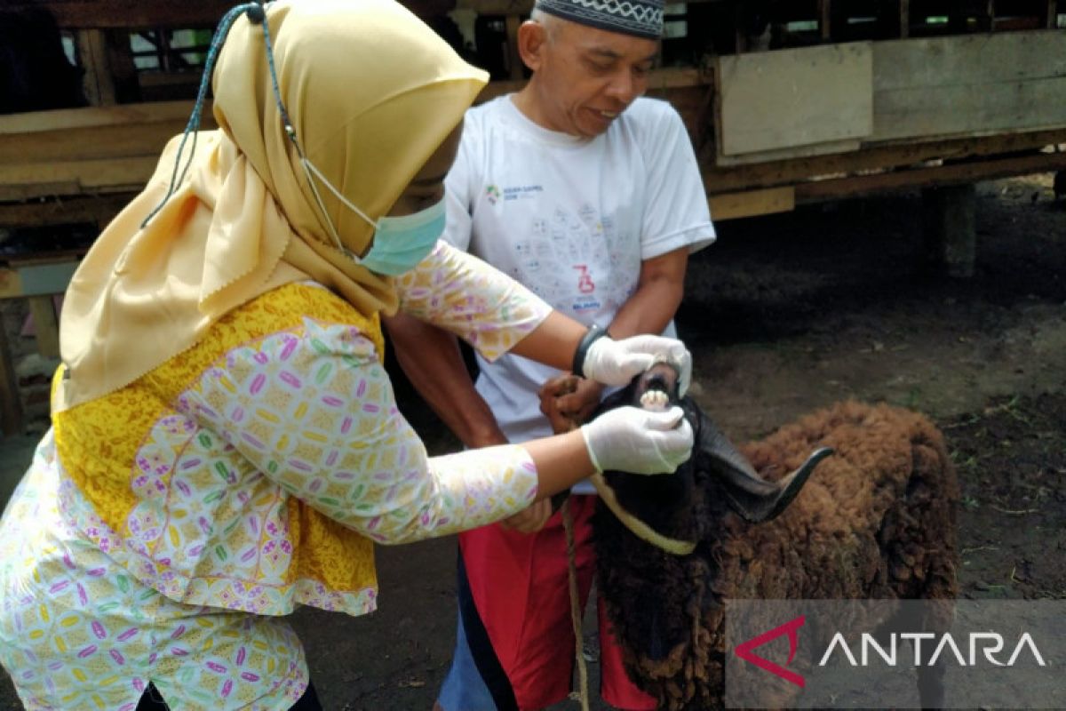 Antisipasi PMK, Puskeswan Pandeglang giatkan kesehatan hewan keliling