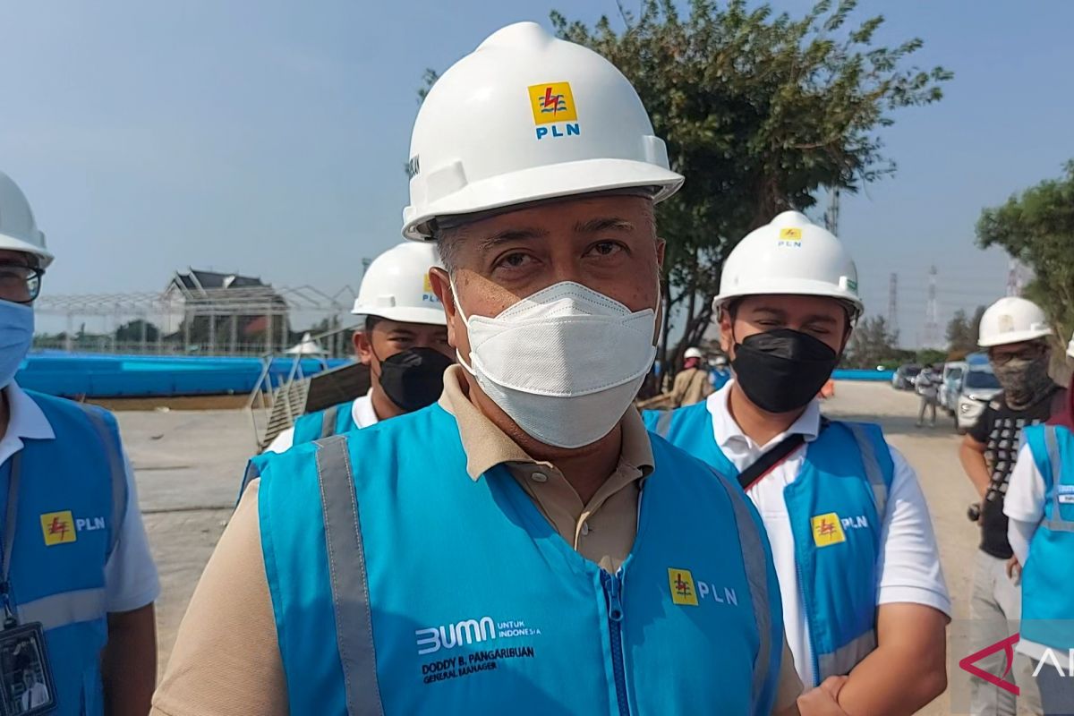 PLN jamin listrik untuk Formula E tak gunakan bahan bakar fosil