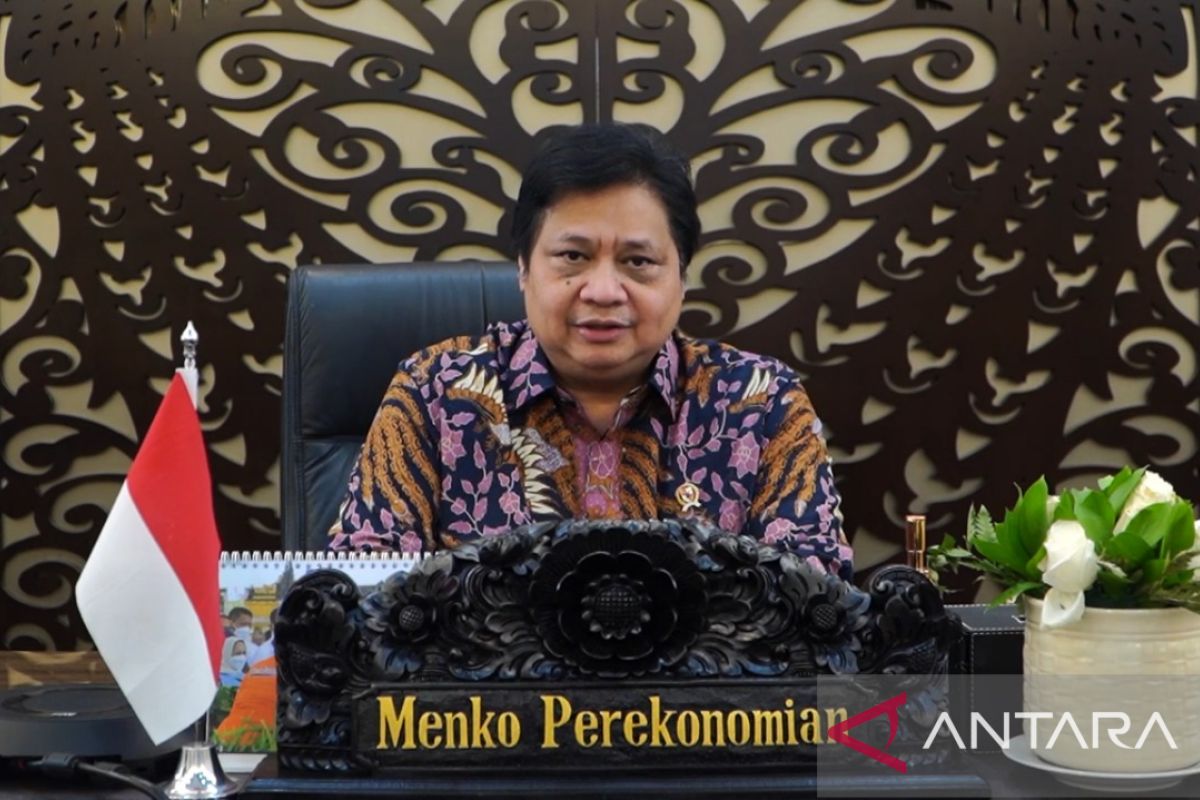 Pengembangan literasi jadi upaya capai transformasi ekonomi digital