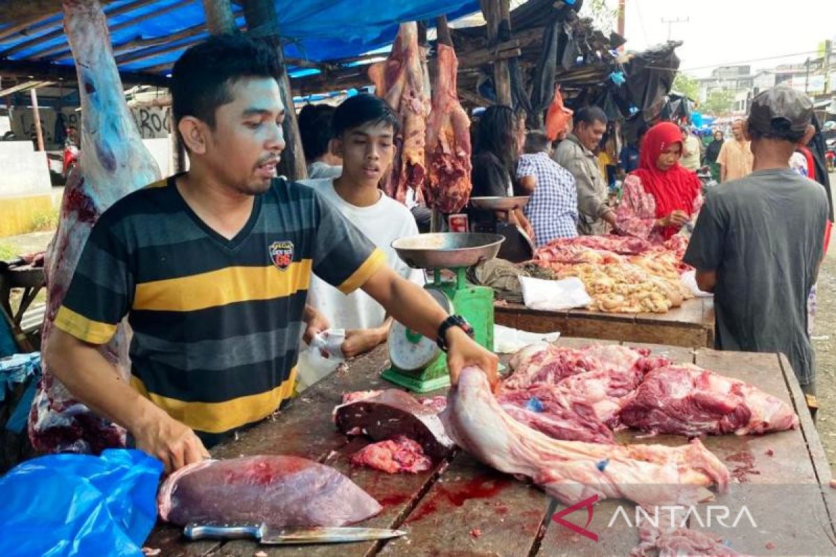 Bebas PMK, Pemkab pastikan daging segar di Aceh Barat aman dikonsumsi
