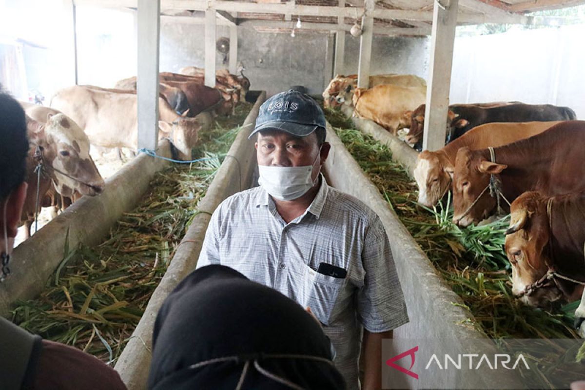 Pemkab Mojokerto prioritaskan vaksin PMK untuk sapi perah