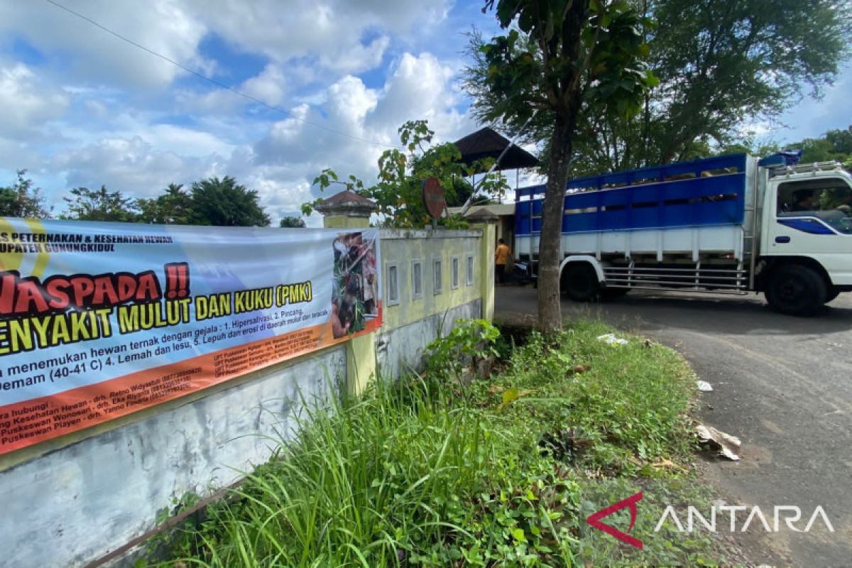 Gunung Kidul meningkatkan pengawasan lalu lintas ternak tiga kecamatan