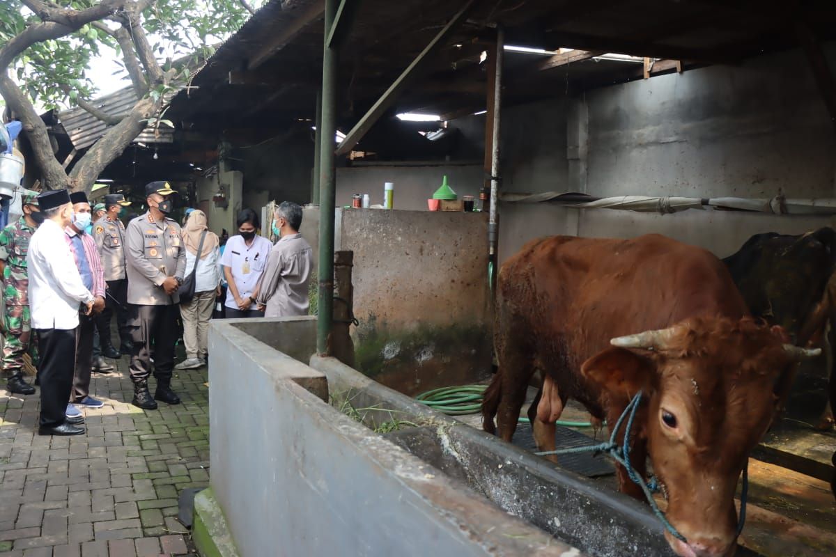 Polresta Sidoarjo batasi pengiriman hewan ternak ke luar daerah