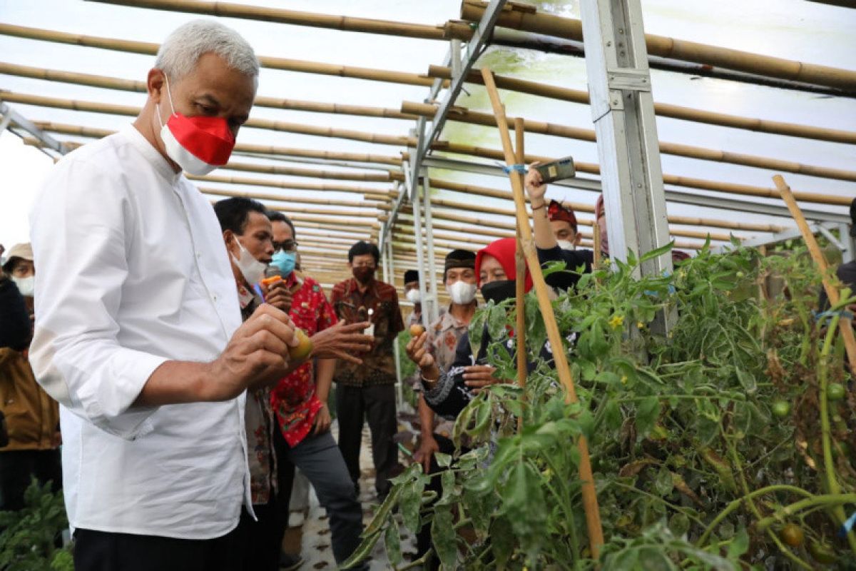 Ganjar: Pemprov berkomitmen kembangkan pertanian organik