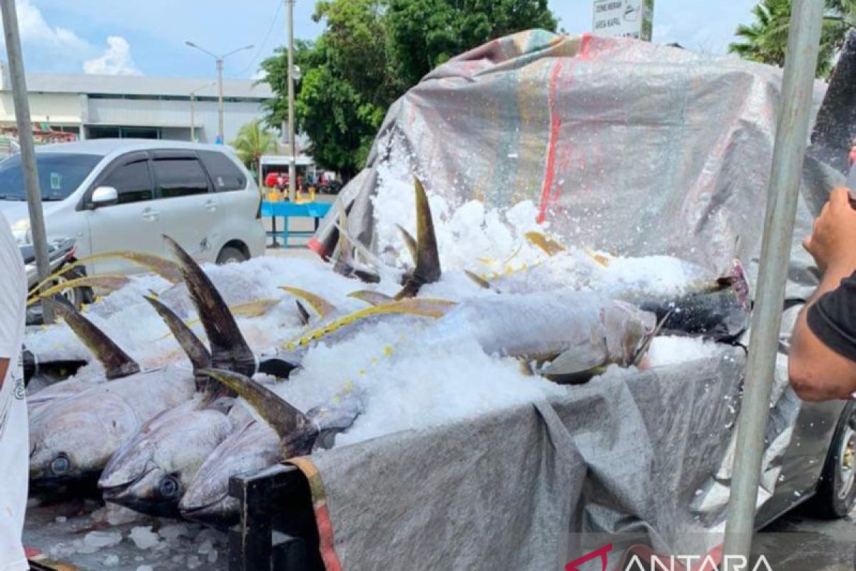 Tingkat kesejahteraan nelayan di Sulut membaik