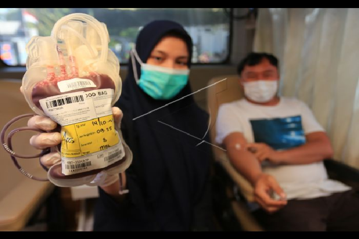 PMI Aceh dalami dugaan pengiriman darah 2.050 kantong tak sesuai SOP