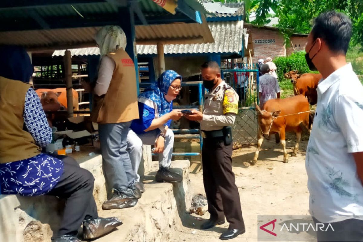 Polda NTB membantu pemerintah tangani penyakit ternak di Lombok Tengah