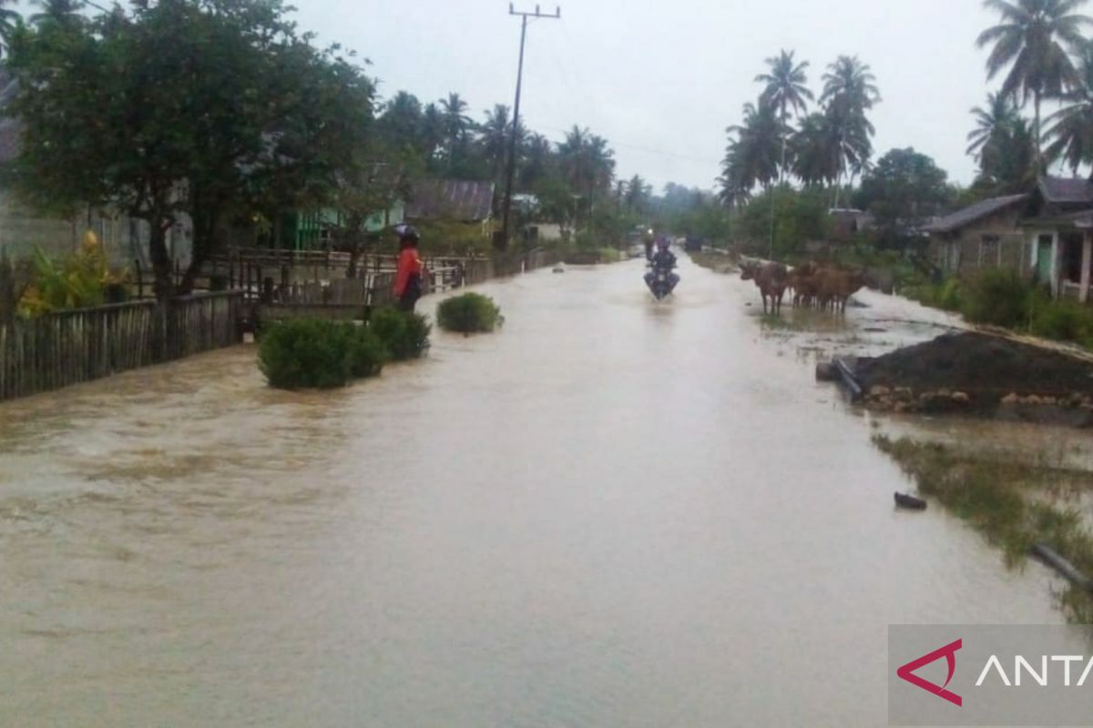 Sebanyak 3.570 orang terdampak banjir di Desa Pinamula Kabupaten Buol Sulteng