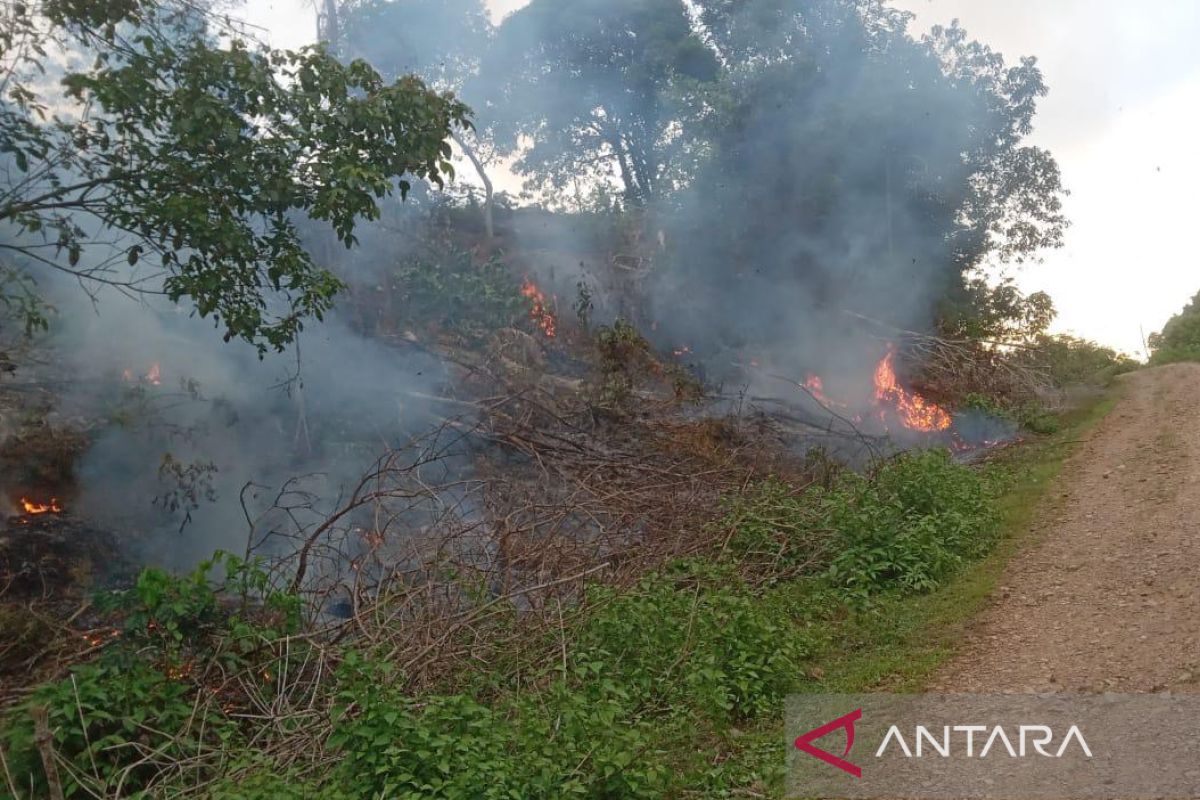 Satu hektare lahan terbakar di tengah musim kemarau di Aceh