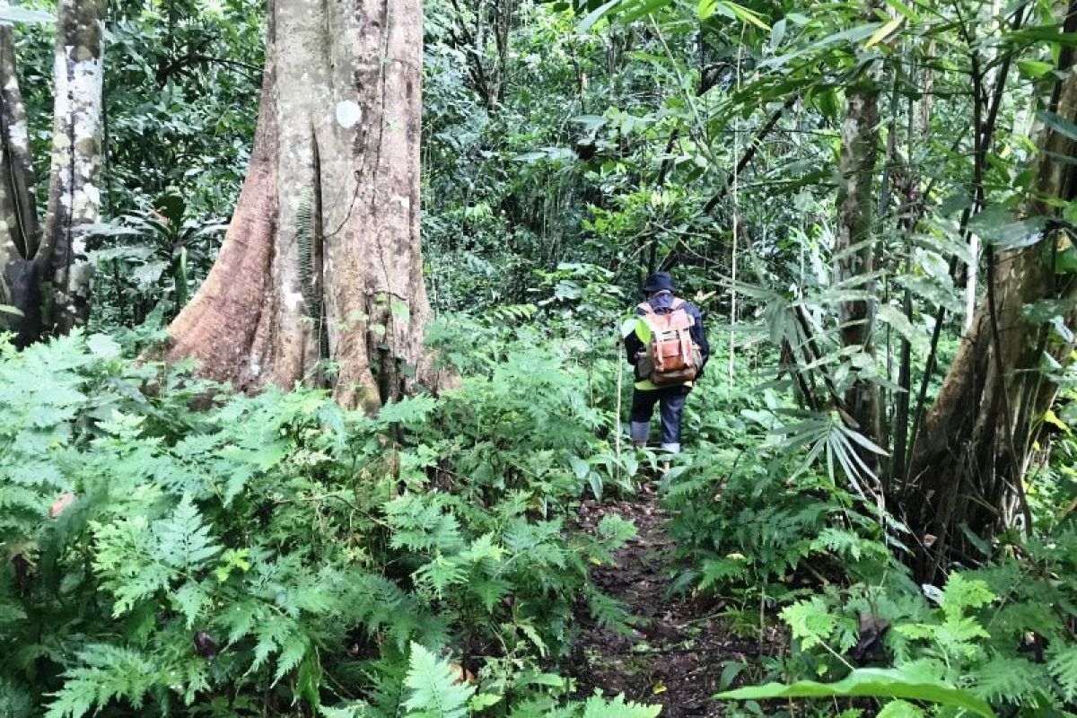 Dewan Adat Biak minta warga kampung adat jaga kearifan lingkungan