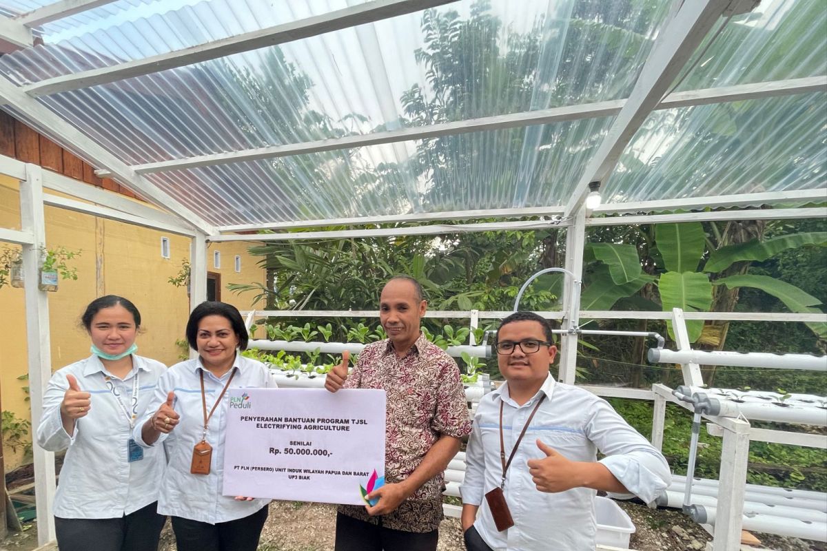 PLN grants financial aid to hydroponic cultivation group in Biak