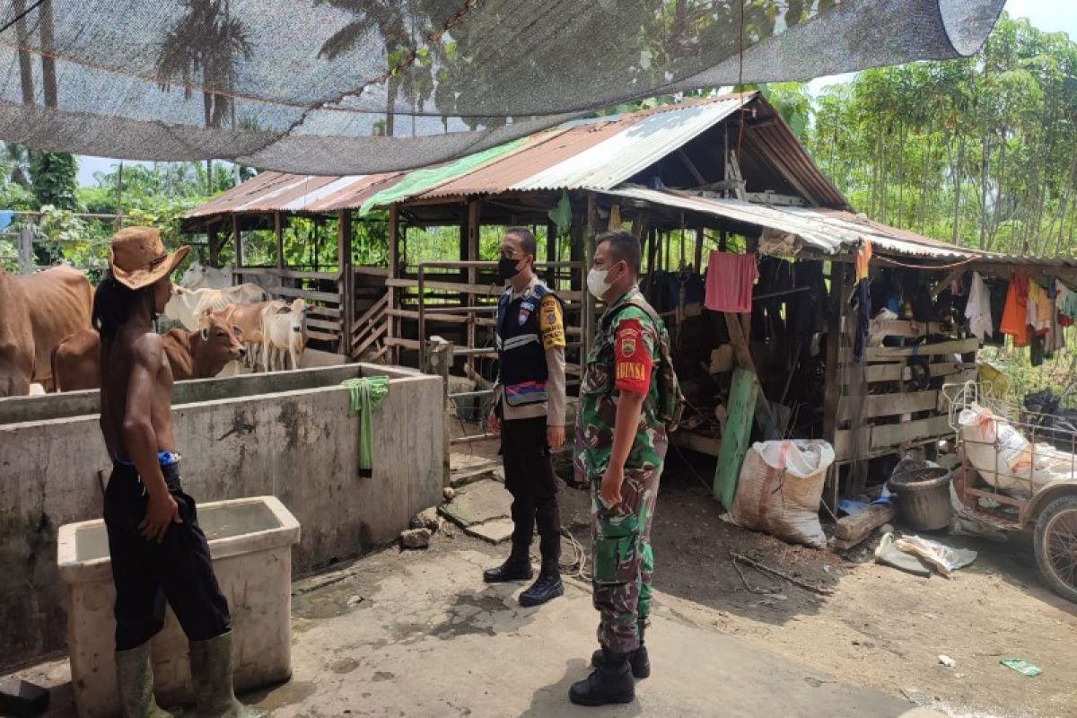 Bhabinkamtibmas Polres Tebing Tinggi kunjungi peternak sapi