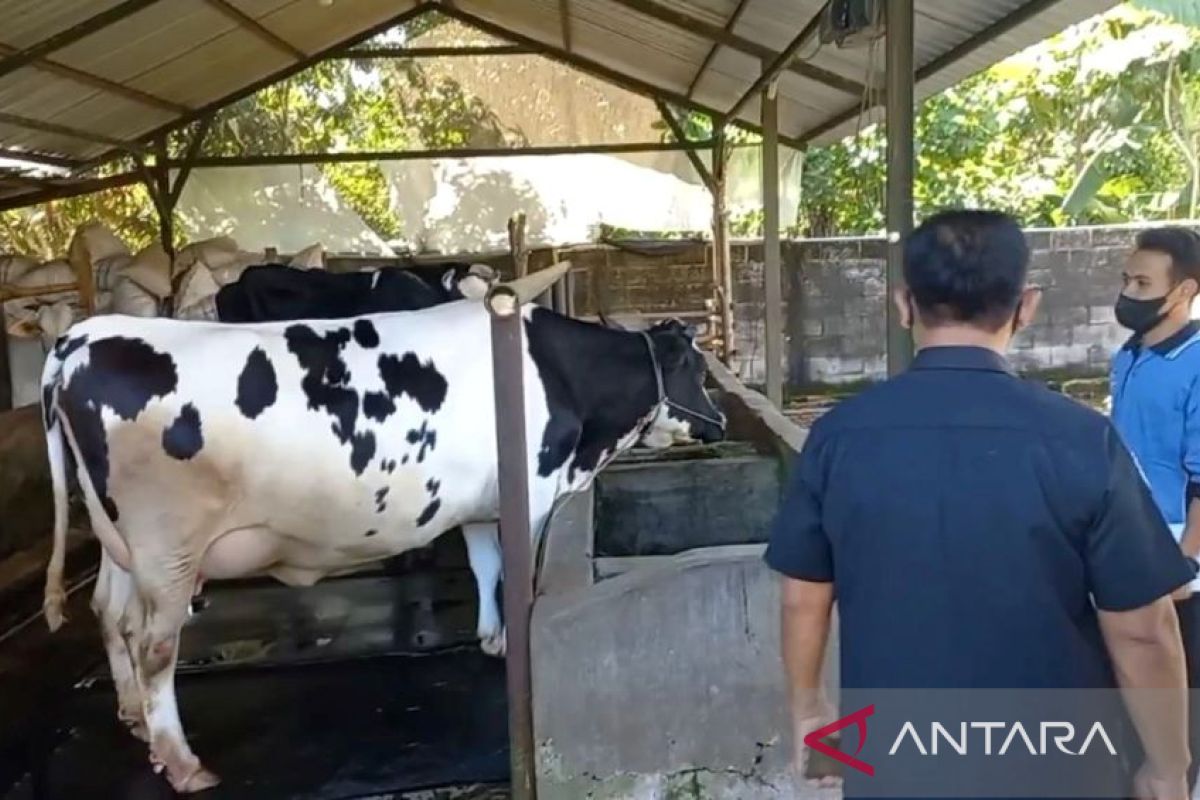 Pemkab Ngawi batasi masuknya ternak luar daerah guna cegah PMK