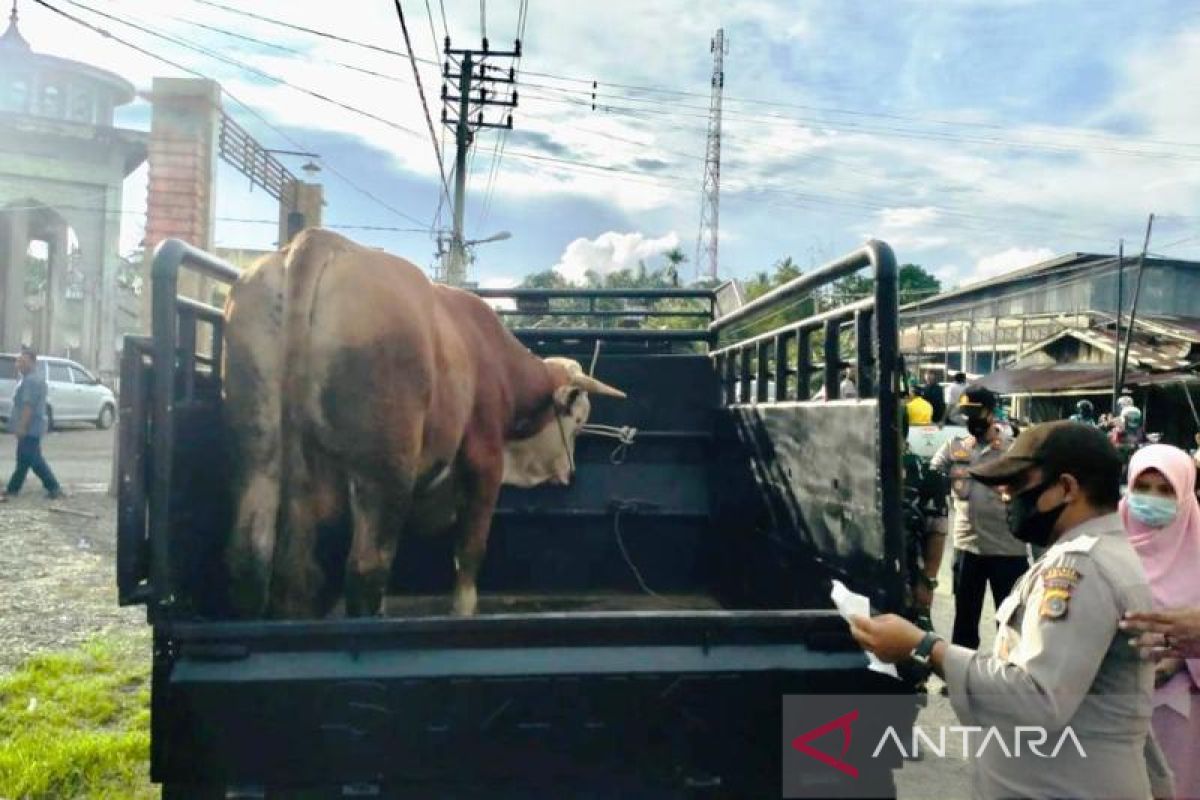 Cegah wabah PMK, Tim gabungan larang ternak luar masuk ke Aceh Barat