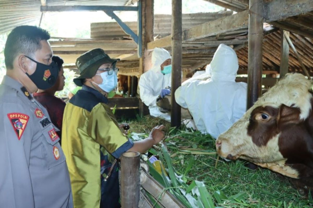 Bergerak bersama untuk cegah meluasnya penyakit mulut dan kuku