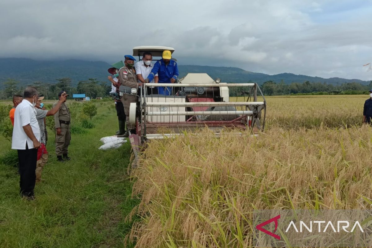 Nilai tukar petani Maluku April 2022 naik 0,67 persen