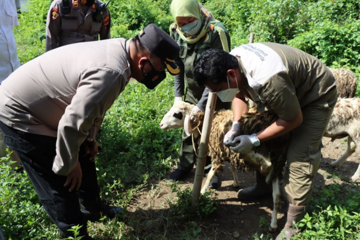 Demak Police to monitor public farms to prevent FMD transmission