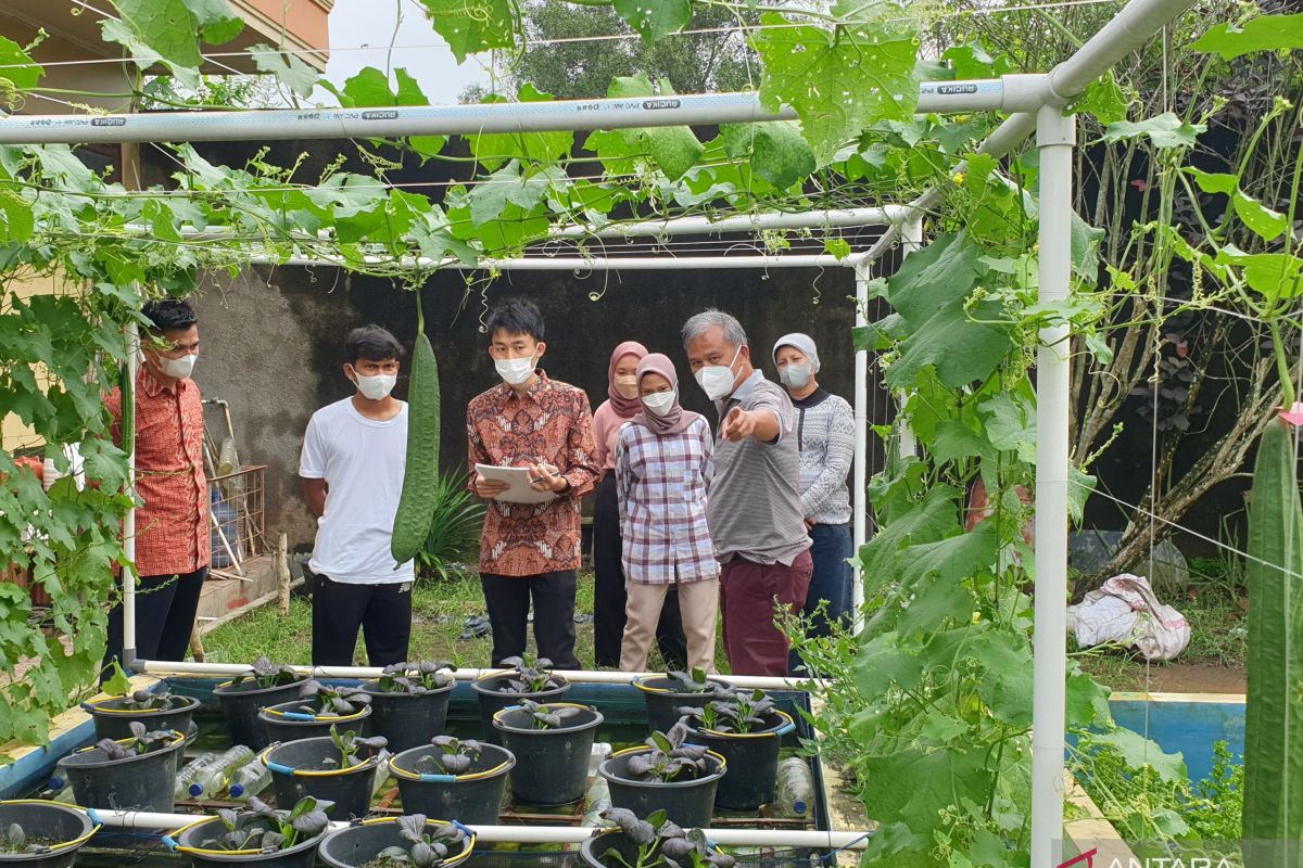 Mahasiswa Jepang kunjungi lahan penelitian "urban farming" Unsri
