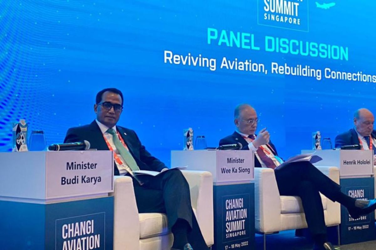 Indonesian aviation industry will bounce back: Transportation Minister