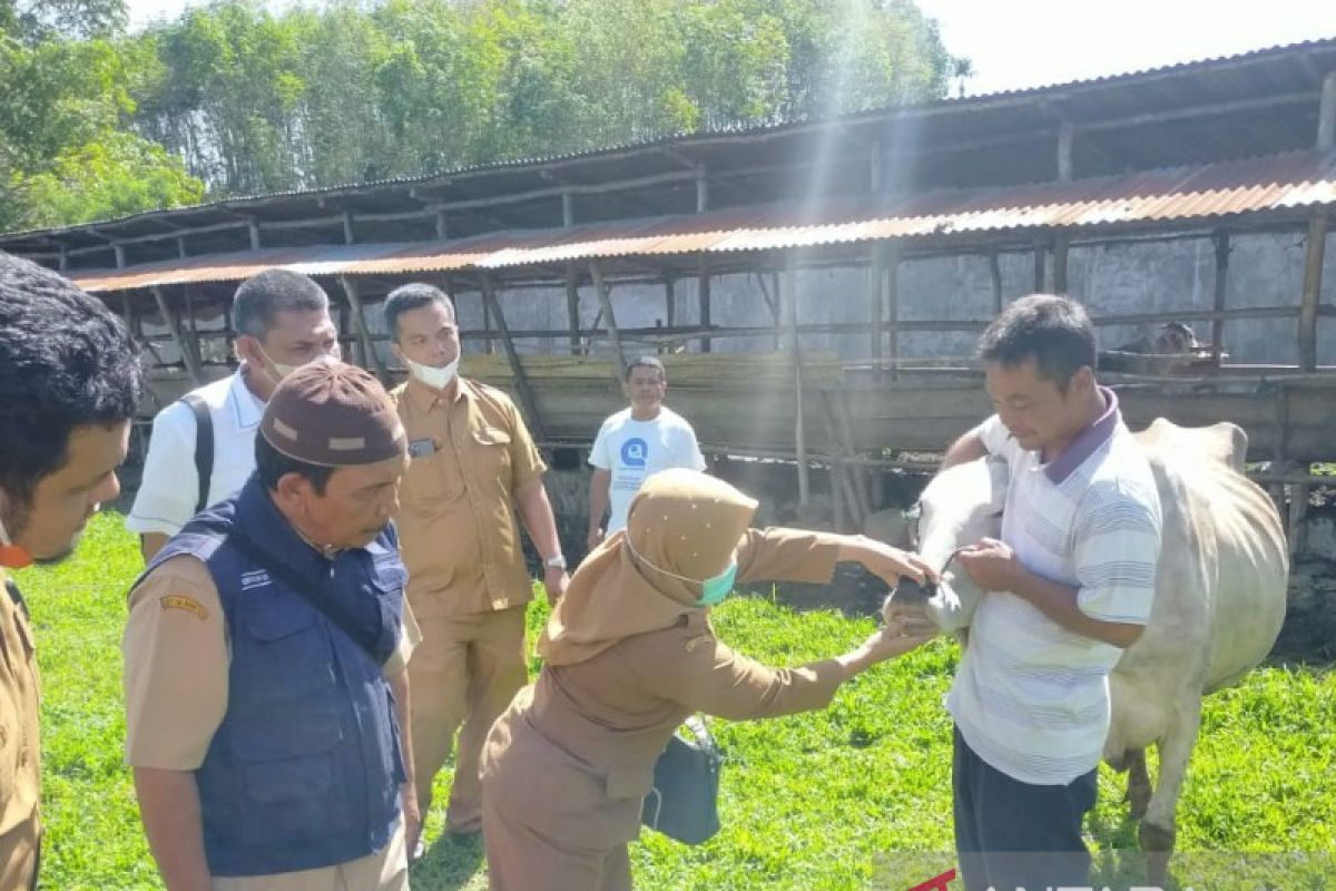 Antisipasi PMK, Polres Tapsel cek kandang sapi di Angkola Timur