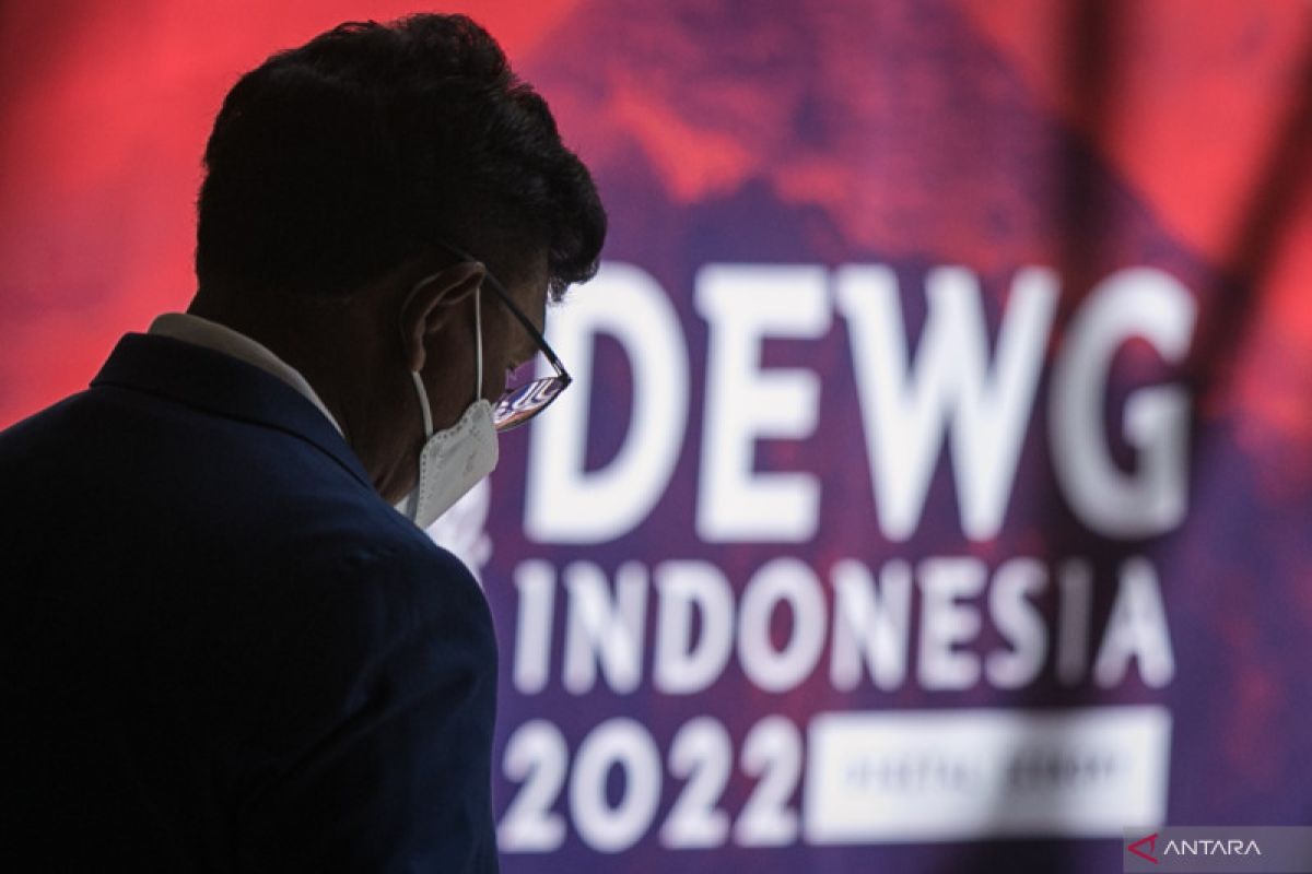 Indonesia urges DEWG to continue discussion on digital connectivity