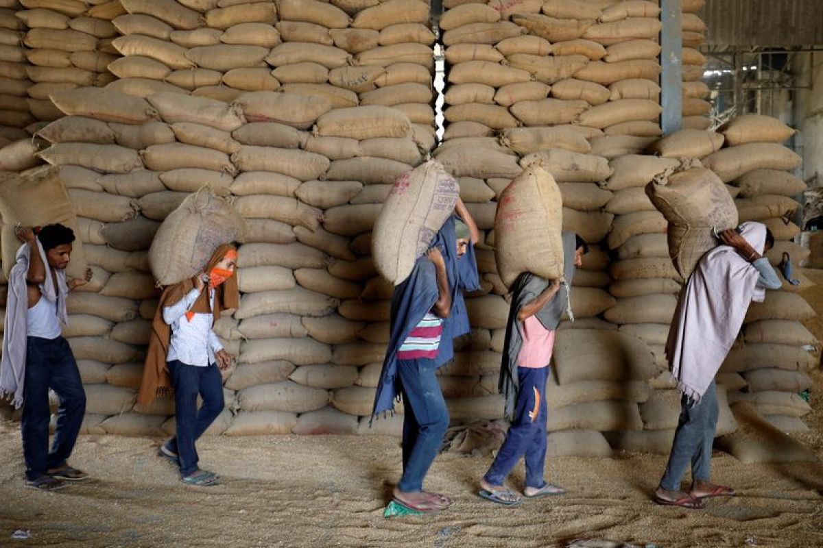 CIPS: Perdagangan pangan internasional harus berjalan cegah krisis