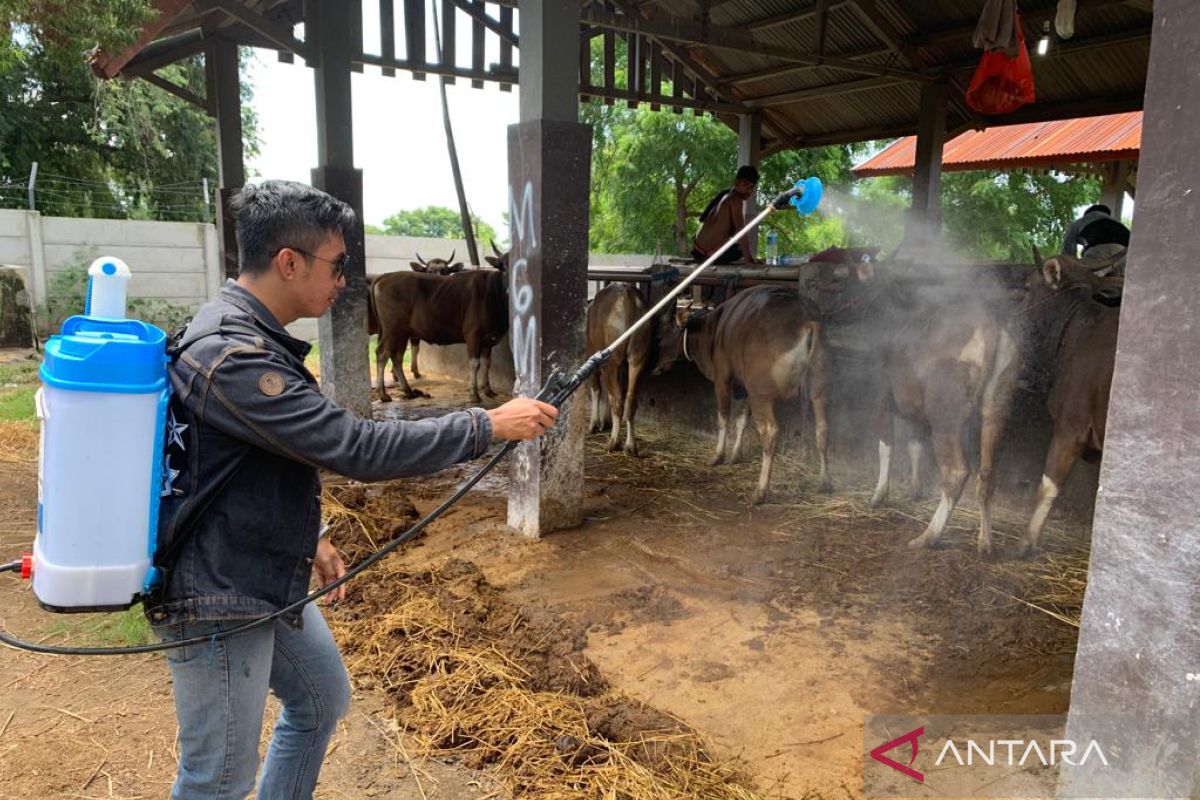 Polisi lakukan pengawasan ternak di Sumbawa Barat dari wabah PMK