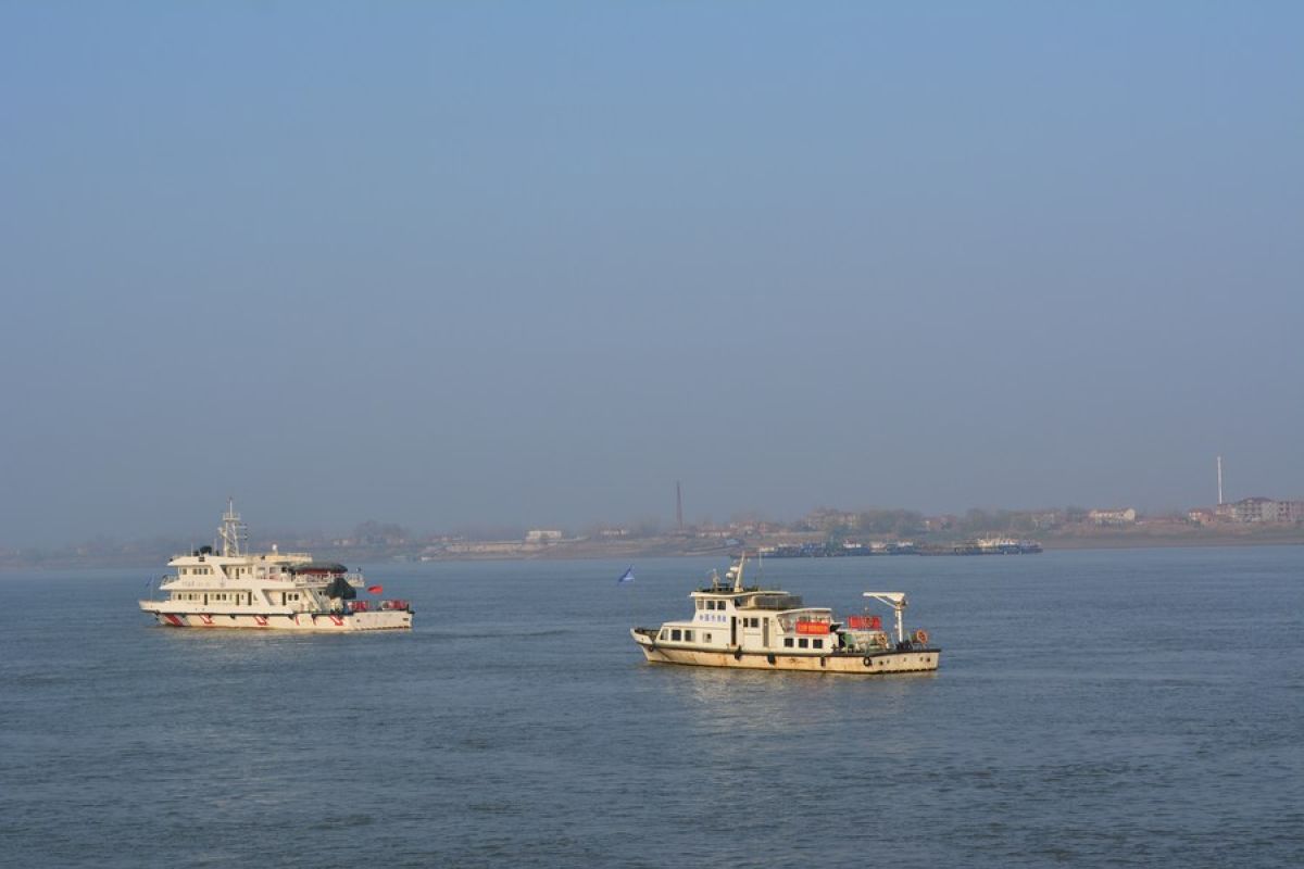 AI bantu perangi penangkapan ikan ilegal di Sungai Yangtze China