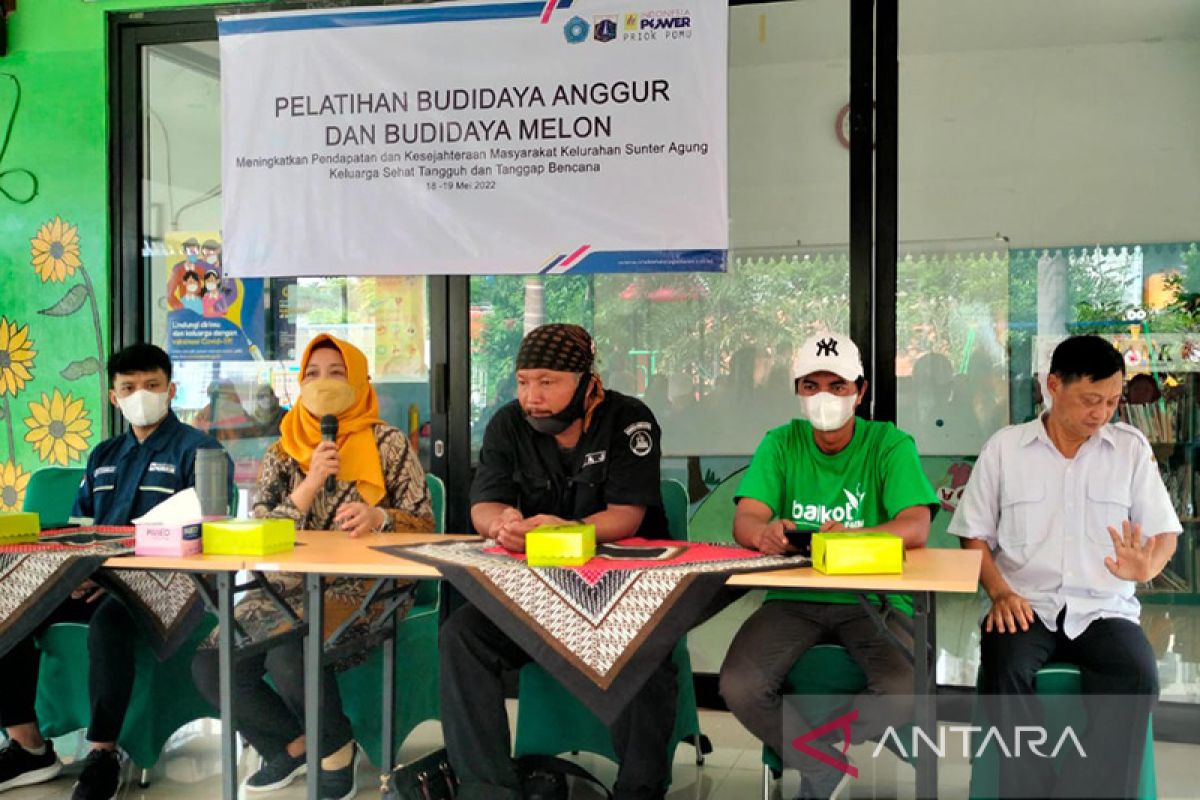 PKK Sunter Agung laksanakan pelatihan budidaya anggur dan melon