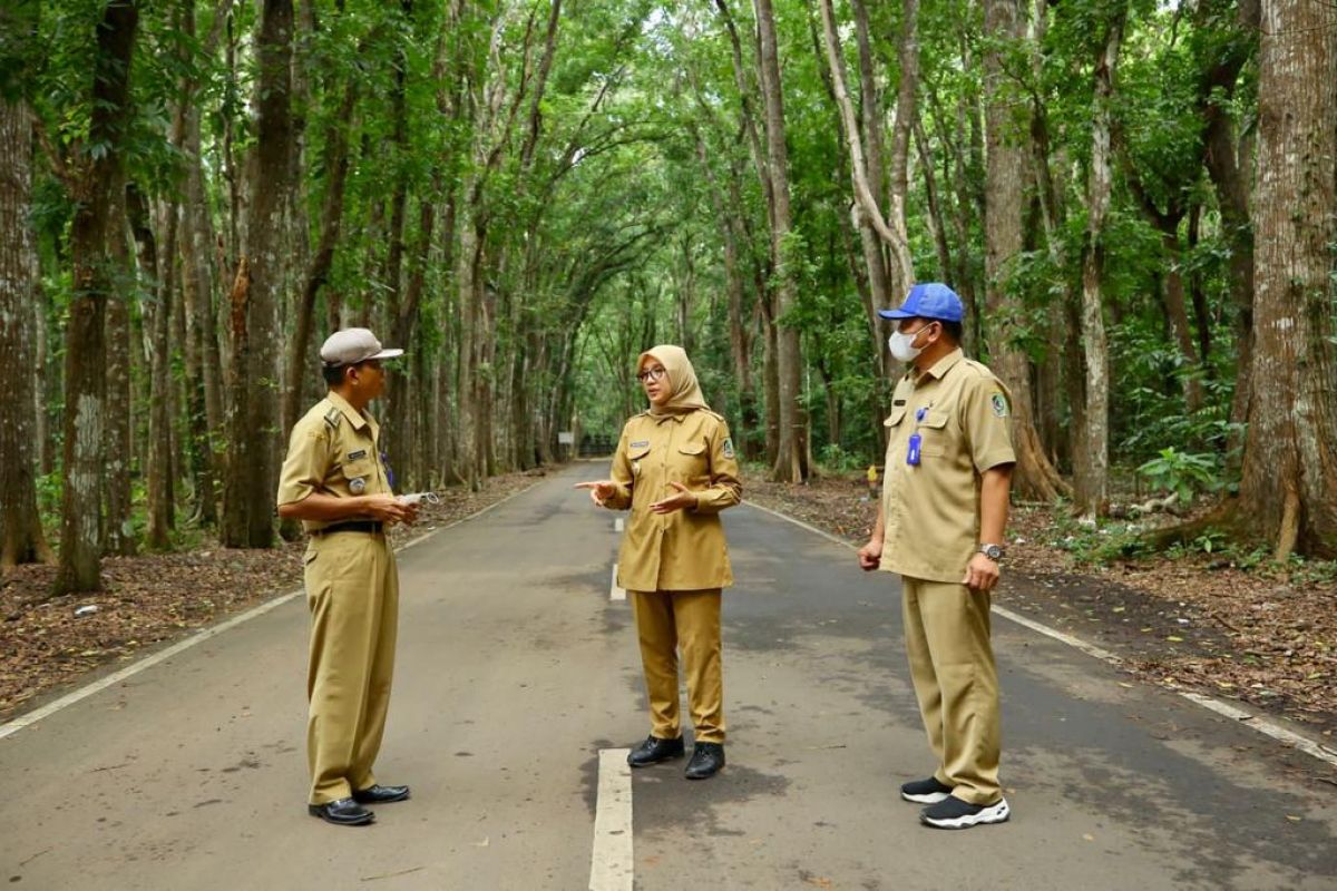 Pelonggaran masker, Bupati Ipuk ajak warga nikmati udara segar Banyuwangi