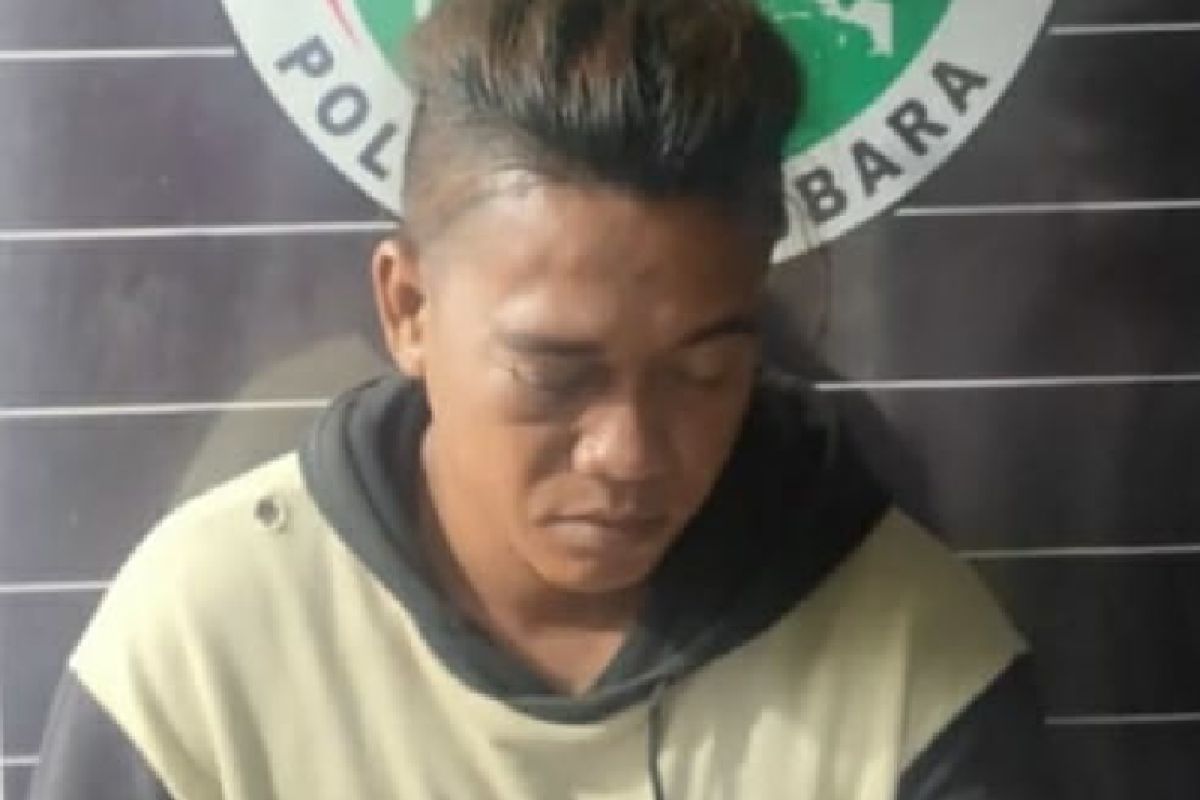 Pengedar sabu di Batubara ditangkap Polisi