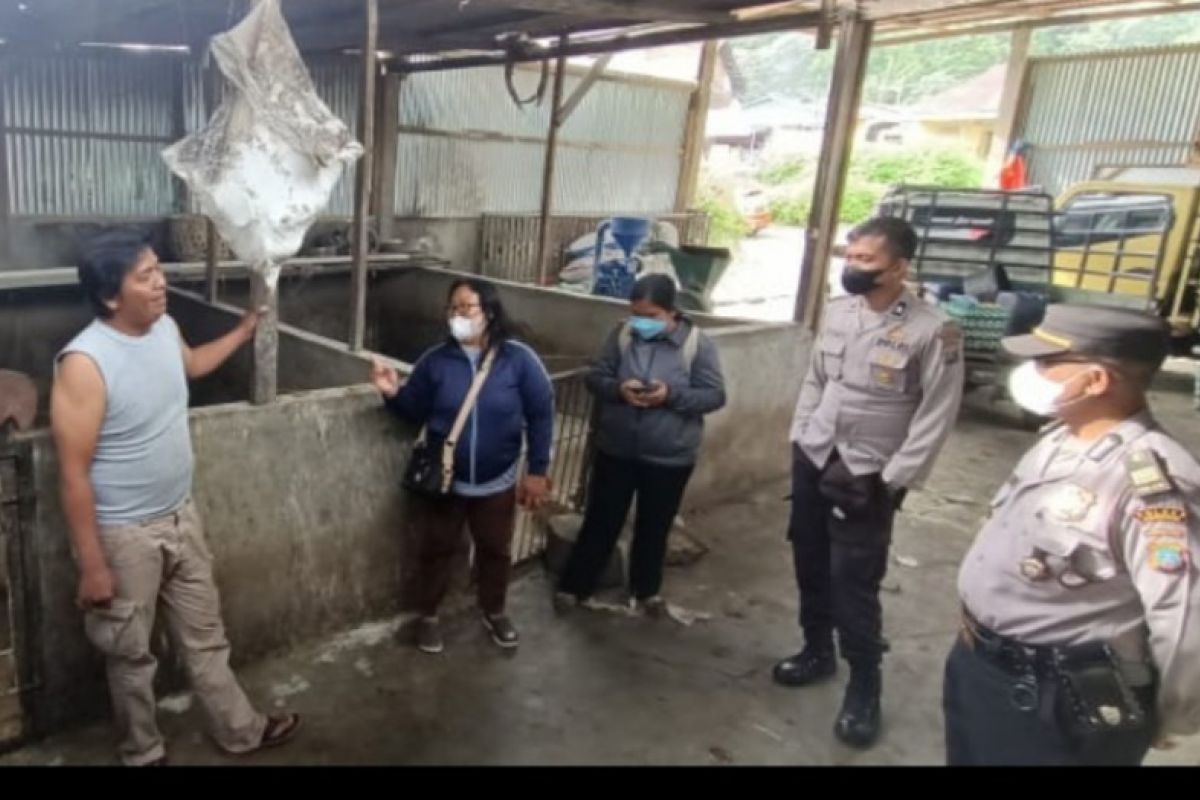 Pemkab Samosir sosialisasikan upaya pencegahan PMK pada hewan ternak