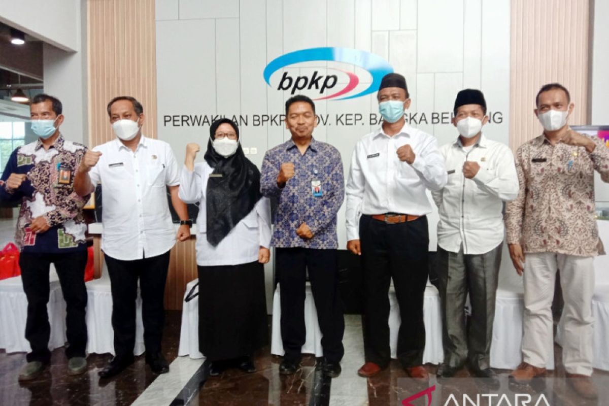 BPKP dan APIP Dukung Bangga Buatan Indonesia Melalui Pengawasan Program P3Dn
