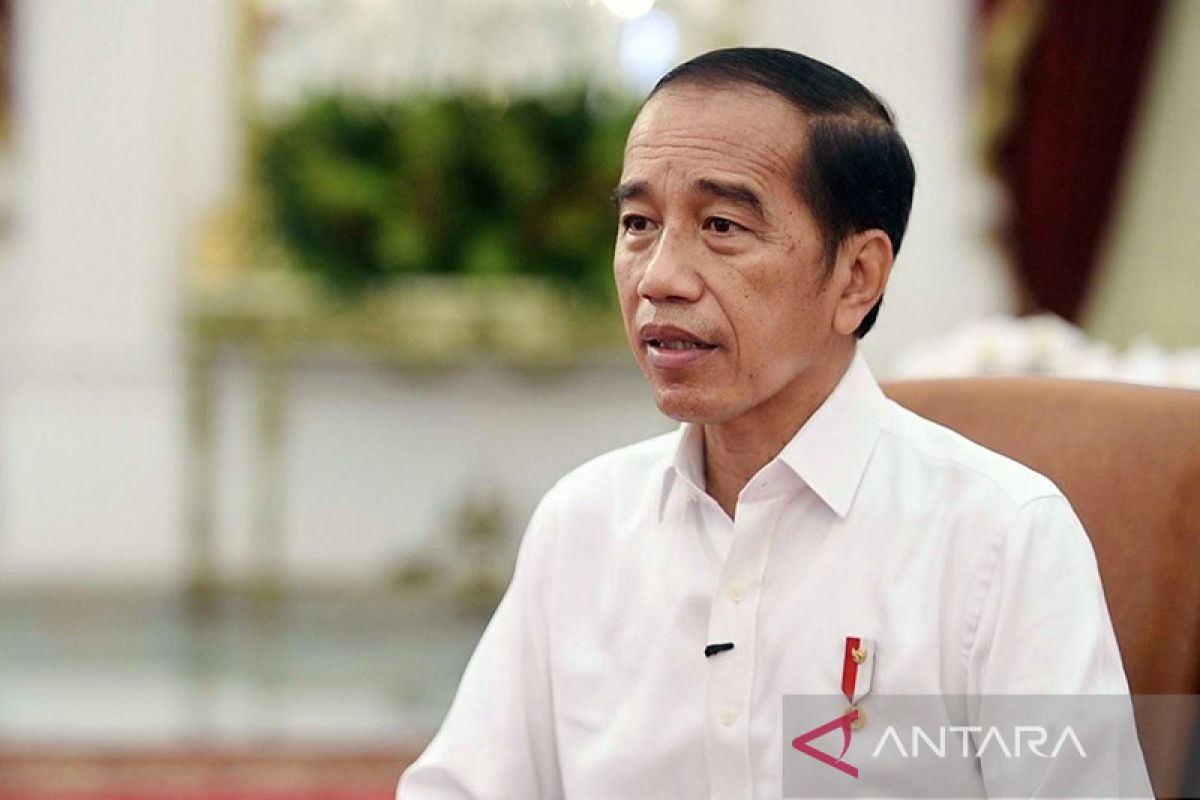 Presiden Jokowi: Pemerintah terus menahan agar harga Pertalite tidak naik