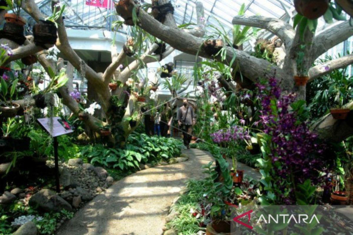 Peringati 205 tahun Kebun Raya Bogor resmikan wahana baru Griya Anggrek