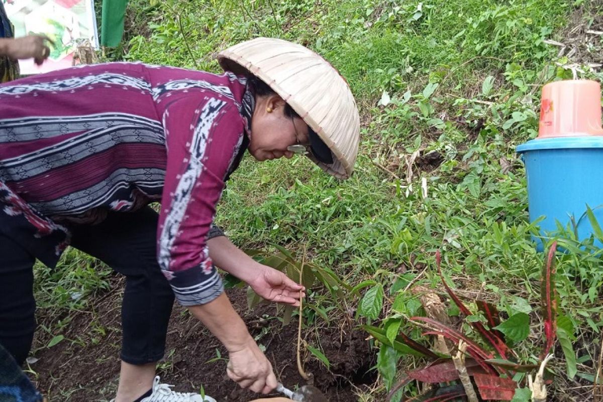 Siau Tengah Jadi Kecamatan Percontohan Pengembangan Pertanian dan Pariwisata