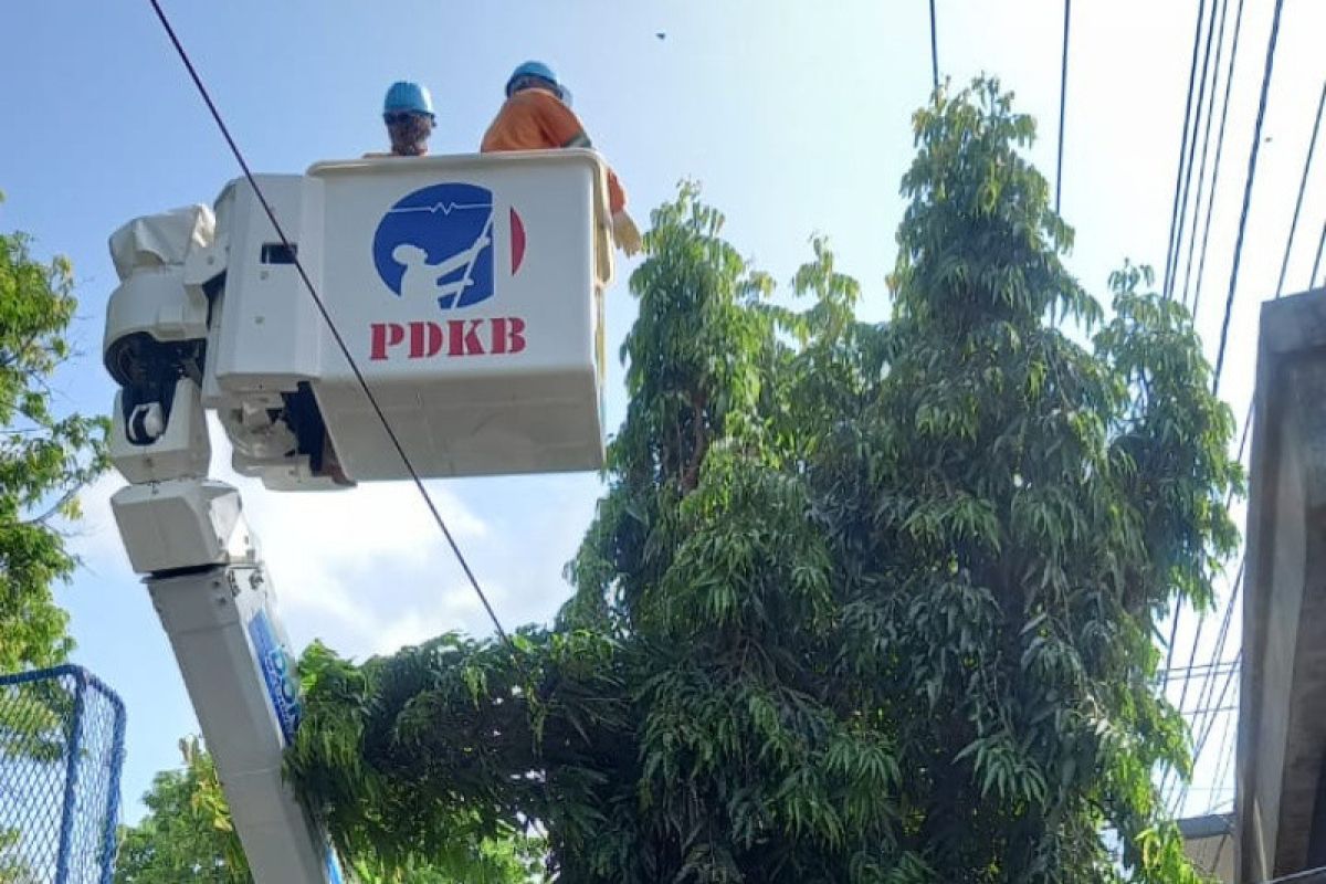 PLN Kudus lakukan perimbasan pohon tanpa pemadaman listrik