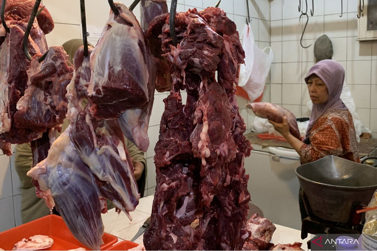 Harga daging sapi di Kota Malang mulai turun