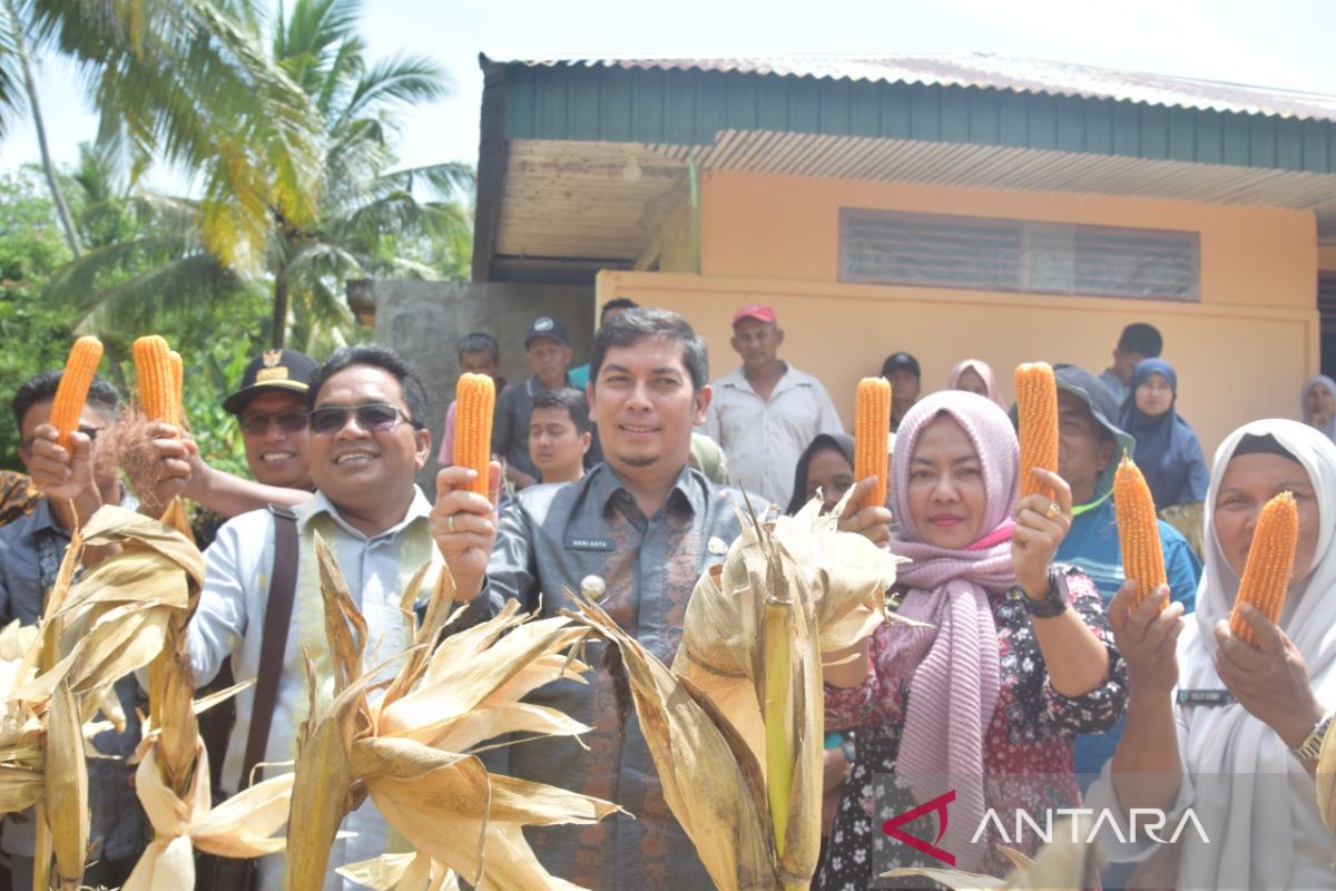 Pemkot Sawahlunto dukung petani jagung dengan bantu bibit dan alsintan