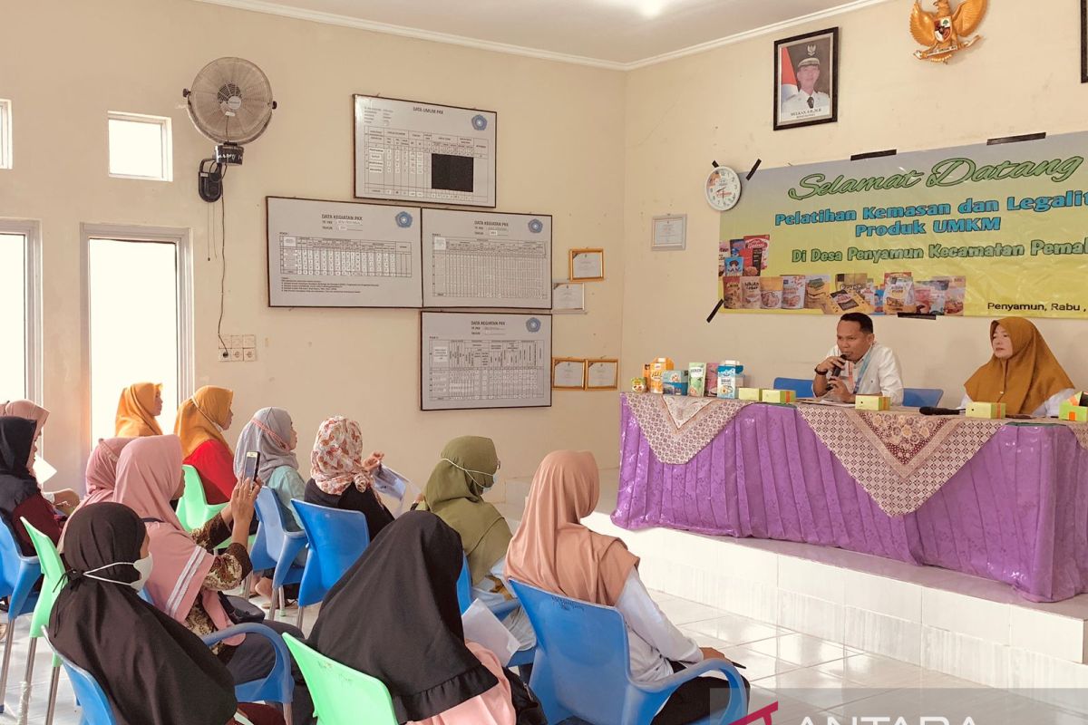 Pemprov Bangka Belitung latih pelaku UMKM membangun citra produk