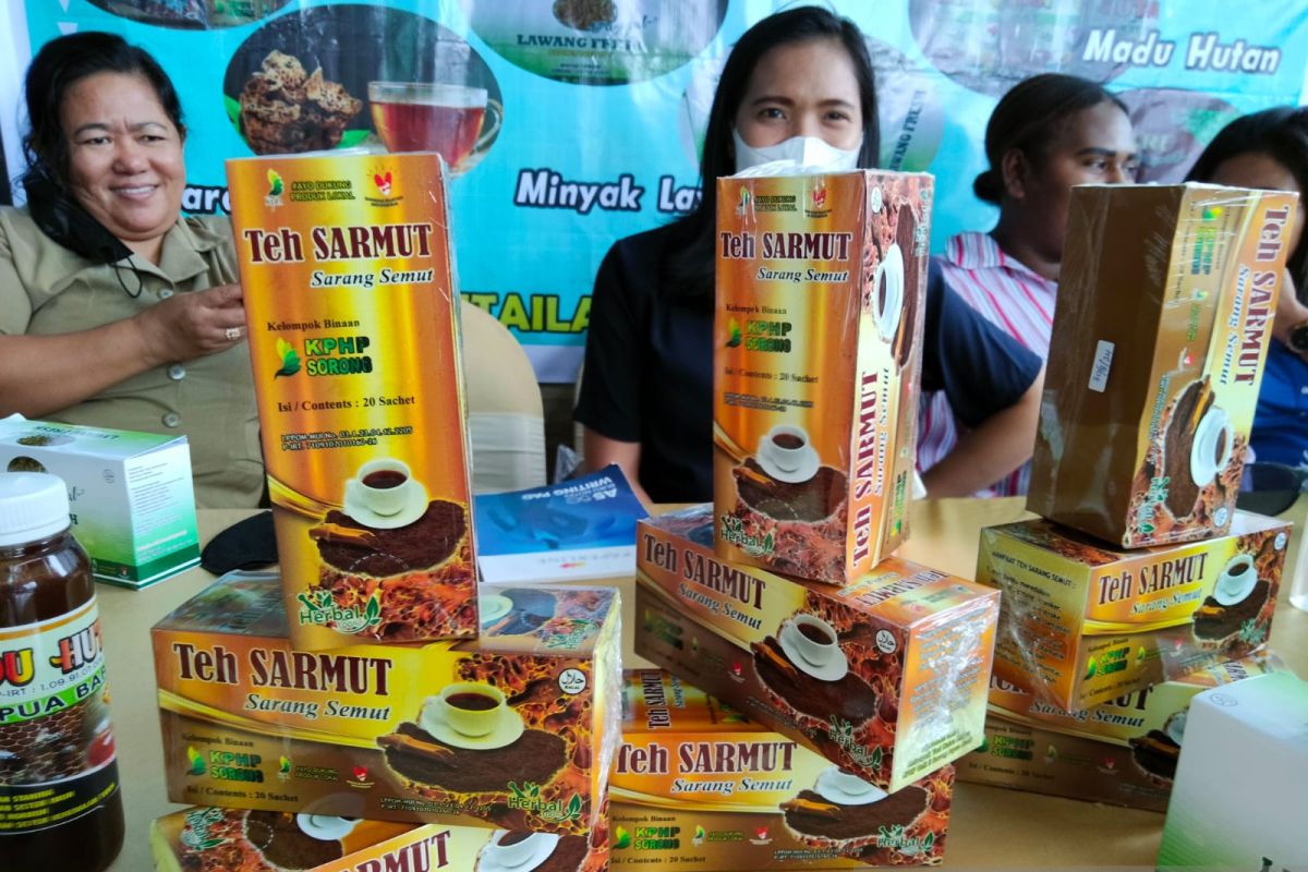 KPHP Sorong fasilitasi KTH Maudus kabupaten Sorong produksi teh sarang semut