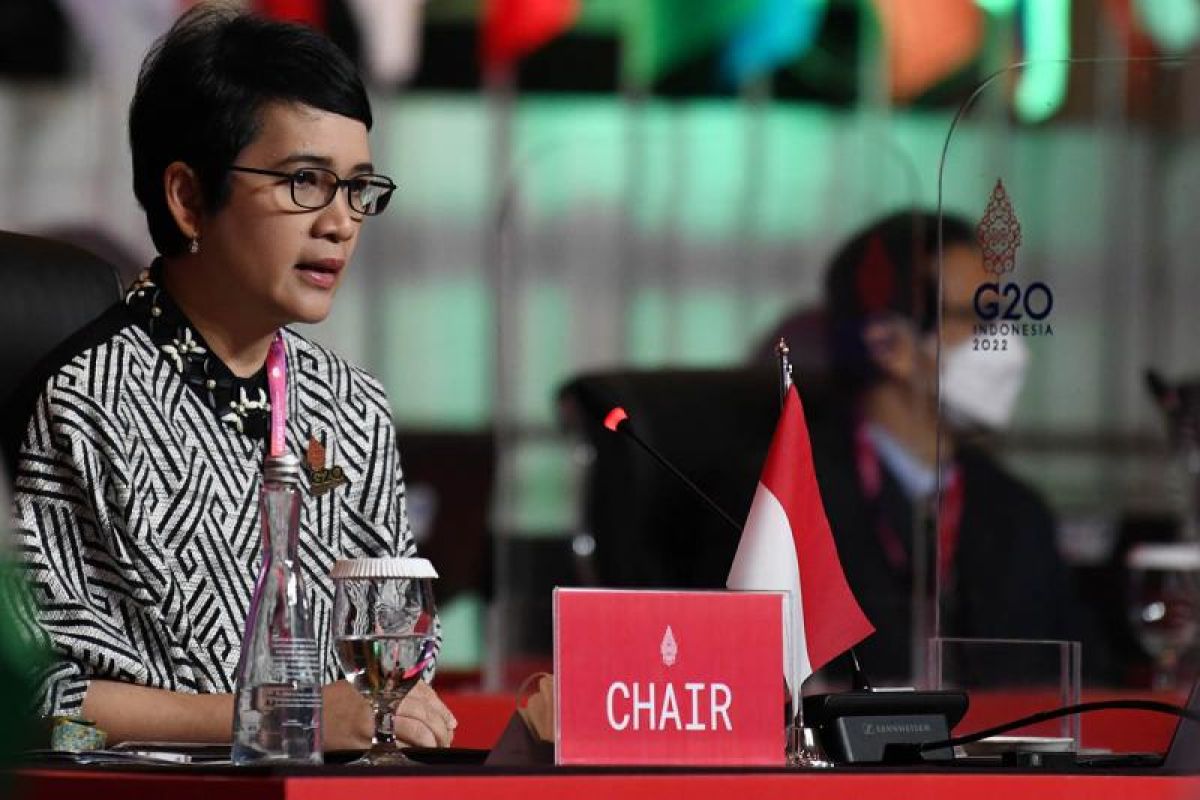 Indonesia mengusulkan empat prinsip ukuran literasi digital DEWG G20