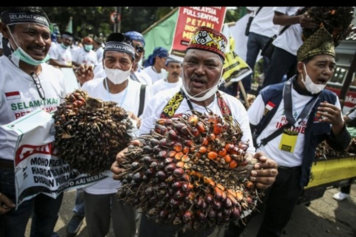 Penggiat sawit apresiasi Presiden Jokowi cabut larangan ekspor minyak goreng