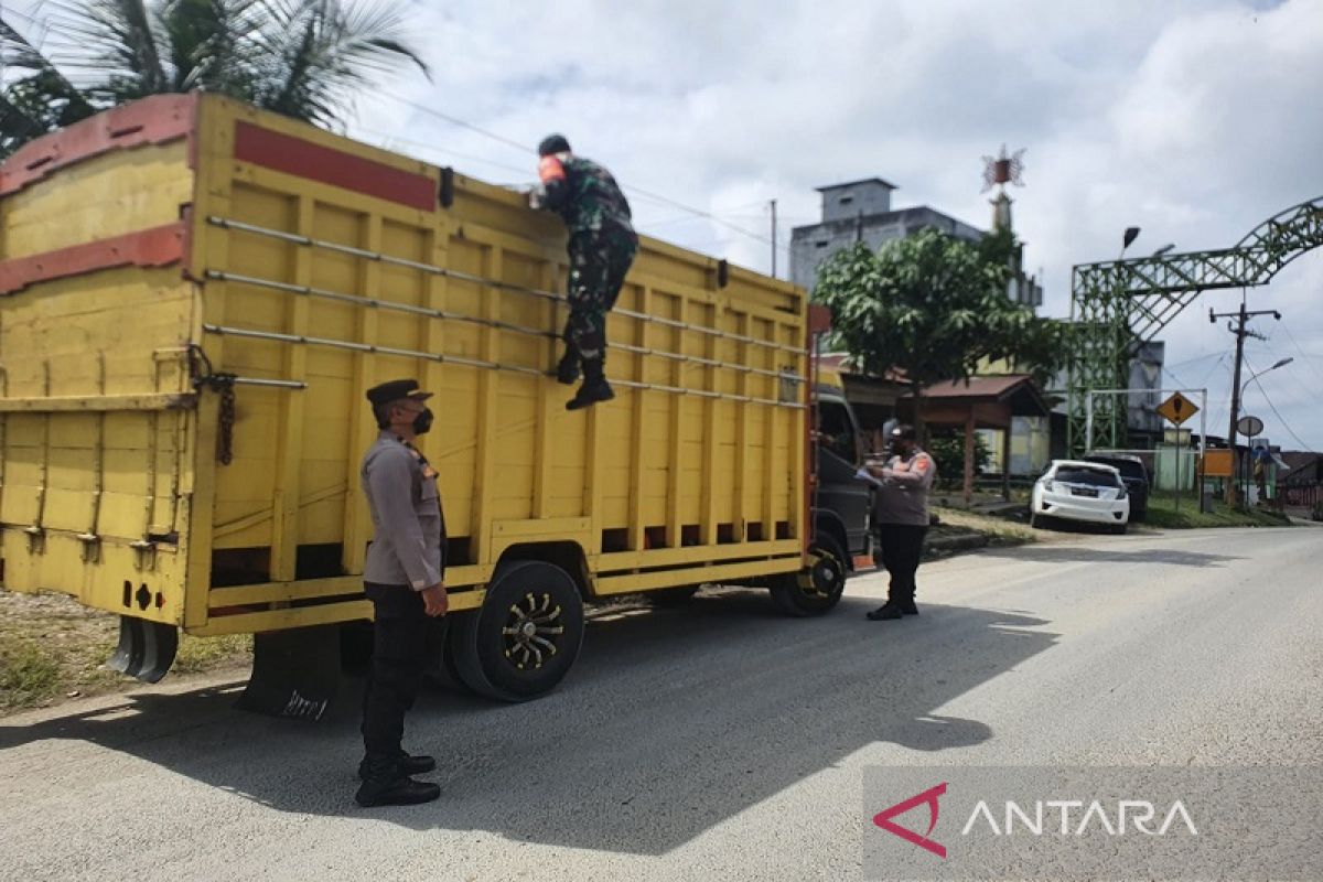 130 ekor sapi dan kambing dipaksa putar balik arah