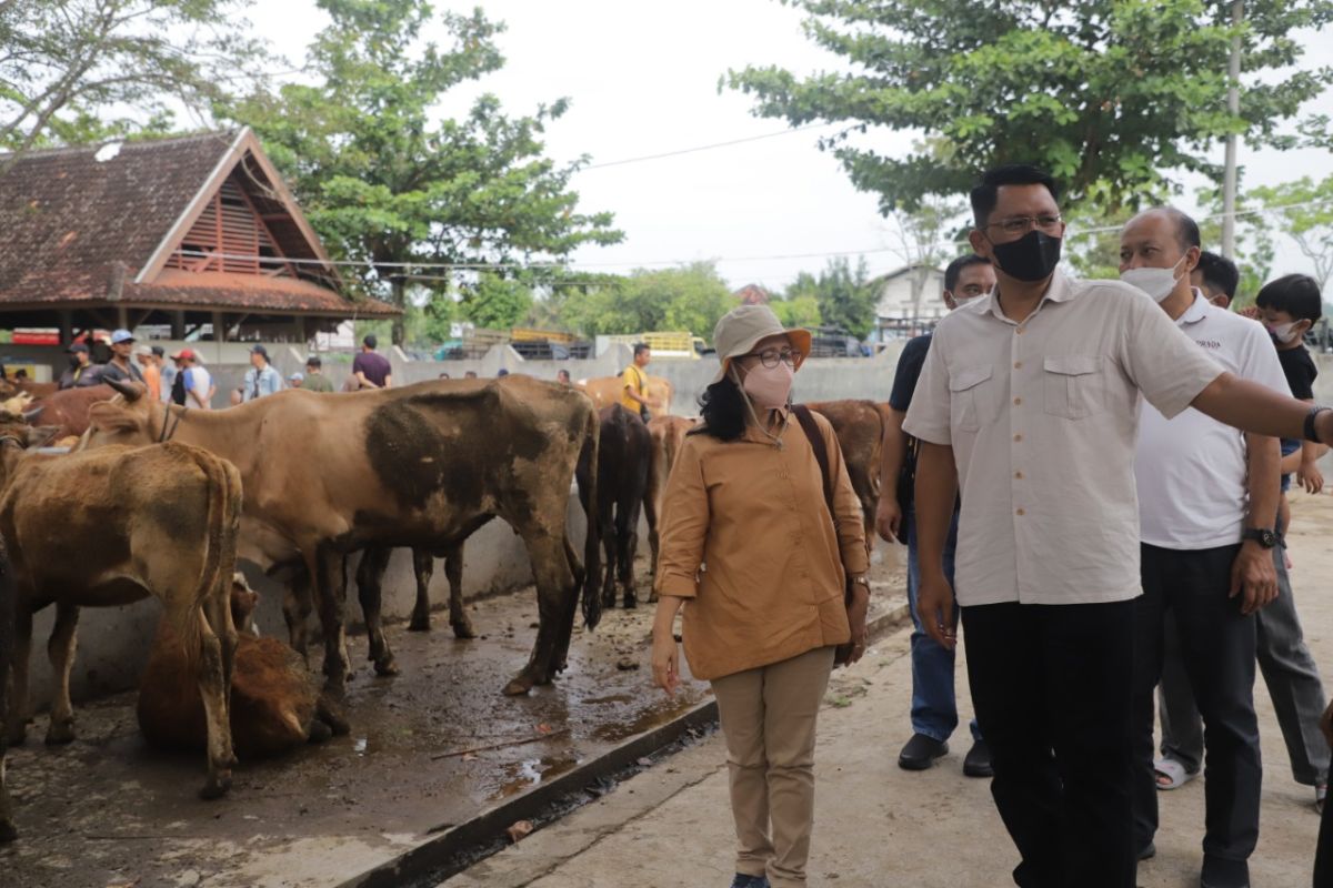 Wabup Sleman meninjau Pasar Hewan Ambarketawang antisipasi PMK