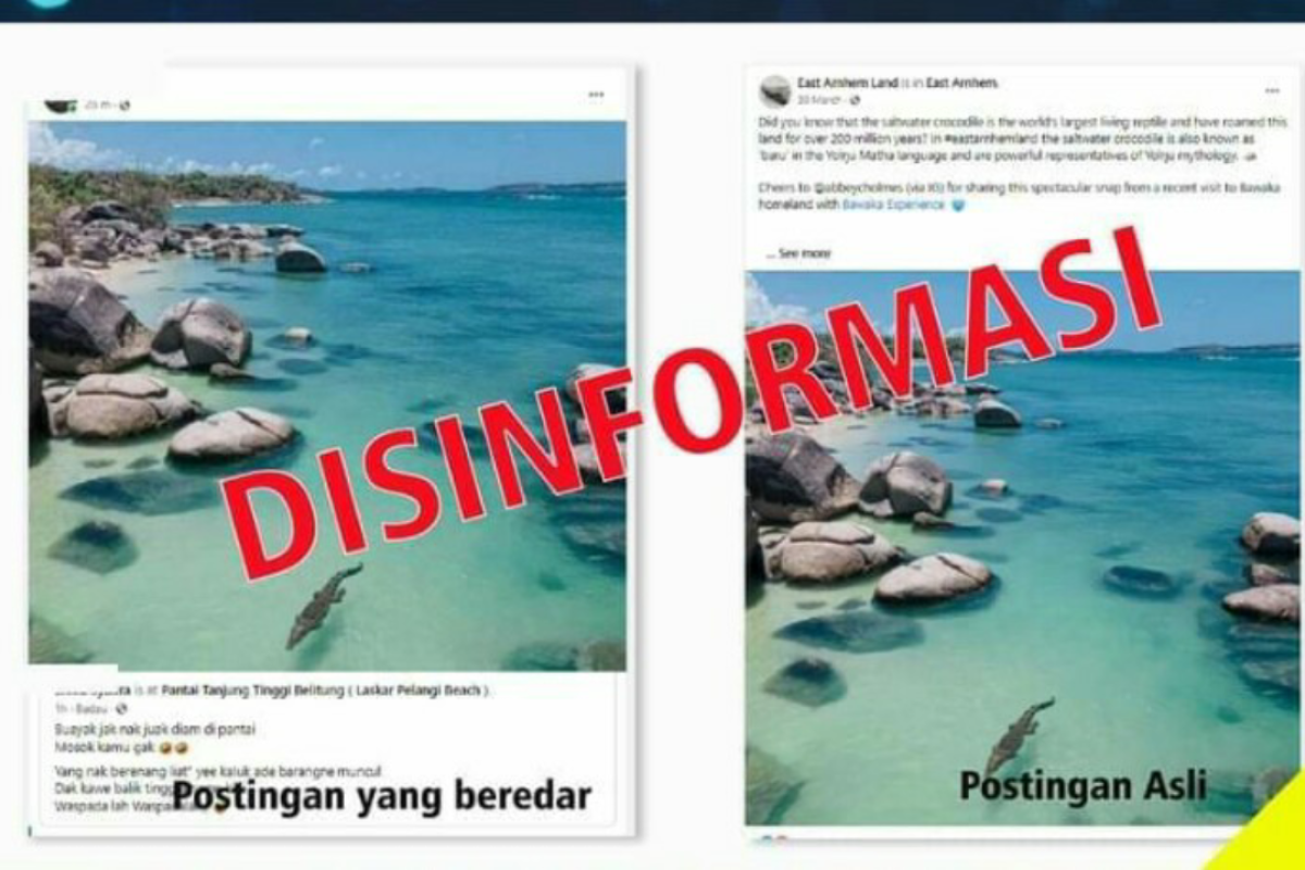 Diskominfo Belitung: Foto kemunculan buaya pantai Tanjung Tinggi disinformasi