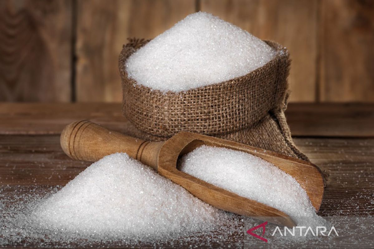 Gapgindo diharapkan mampu penuhi kebutuhan gula konsumsi nasional