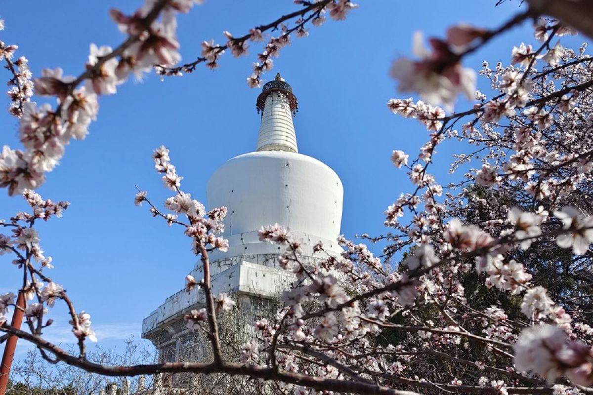 Tingkat polusi primer Beijing turun 32 persen