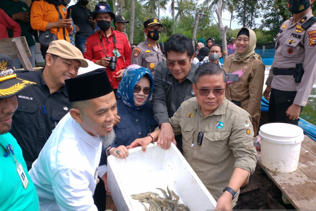 Nanas sampai udang jadi upaya pencegahan Karhutla di Riau